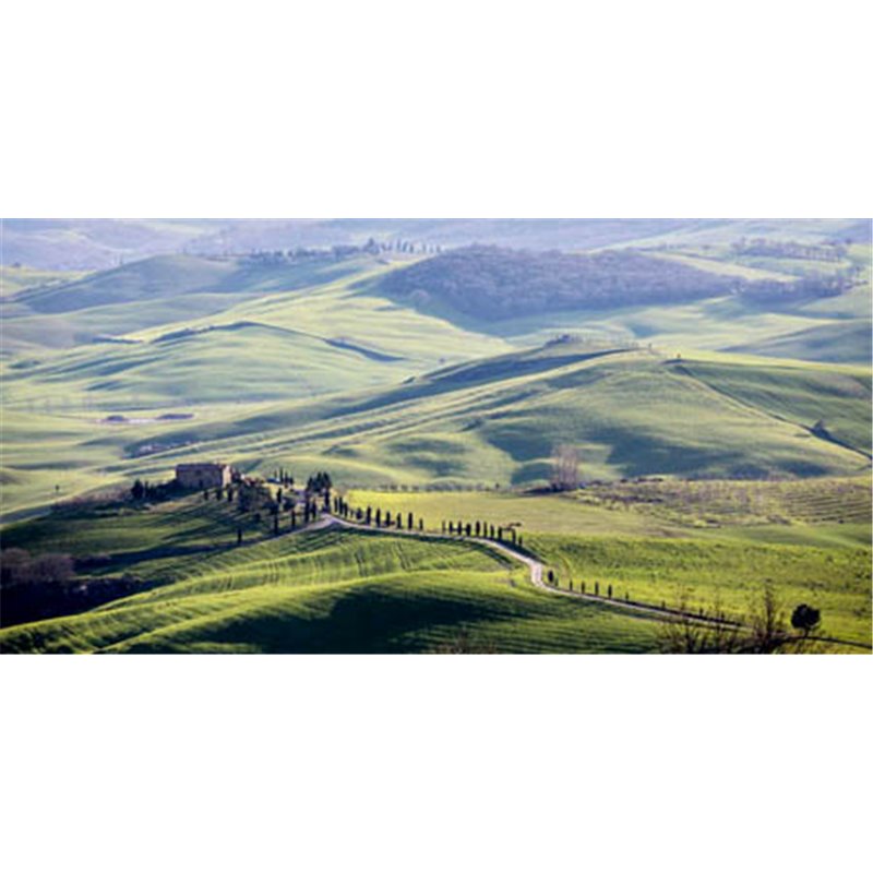 A ROAD IN TUSCANY