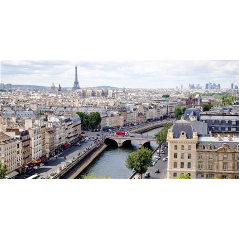 VIEW OF PARIS