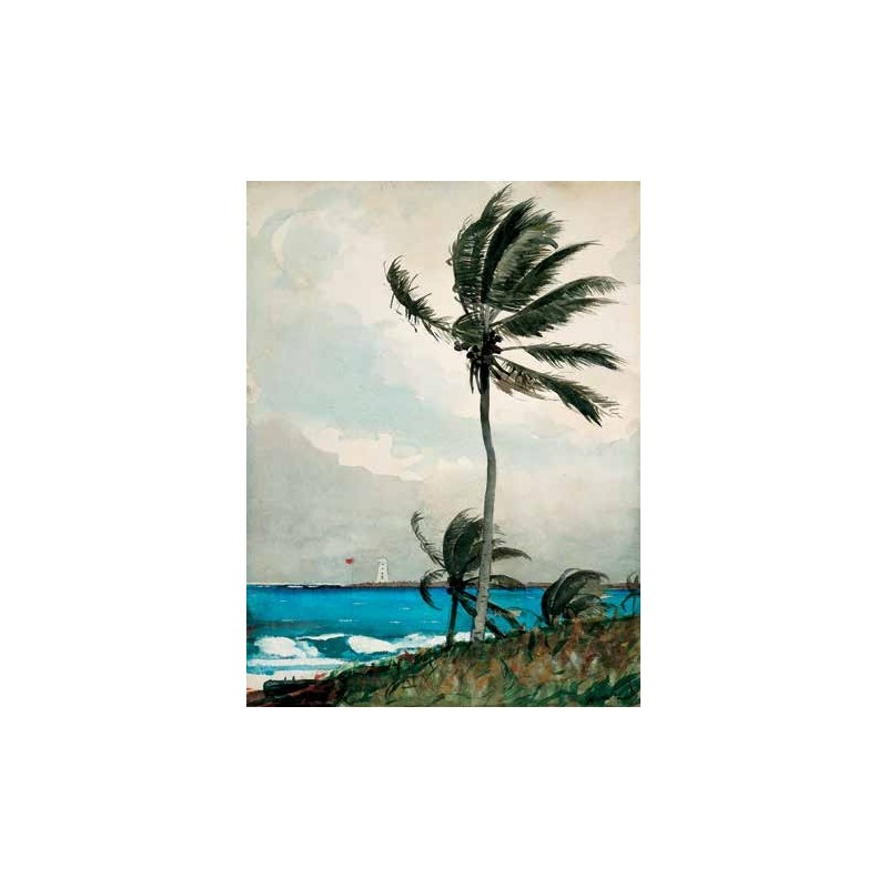 PALM TREE, NASSAU