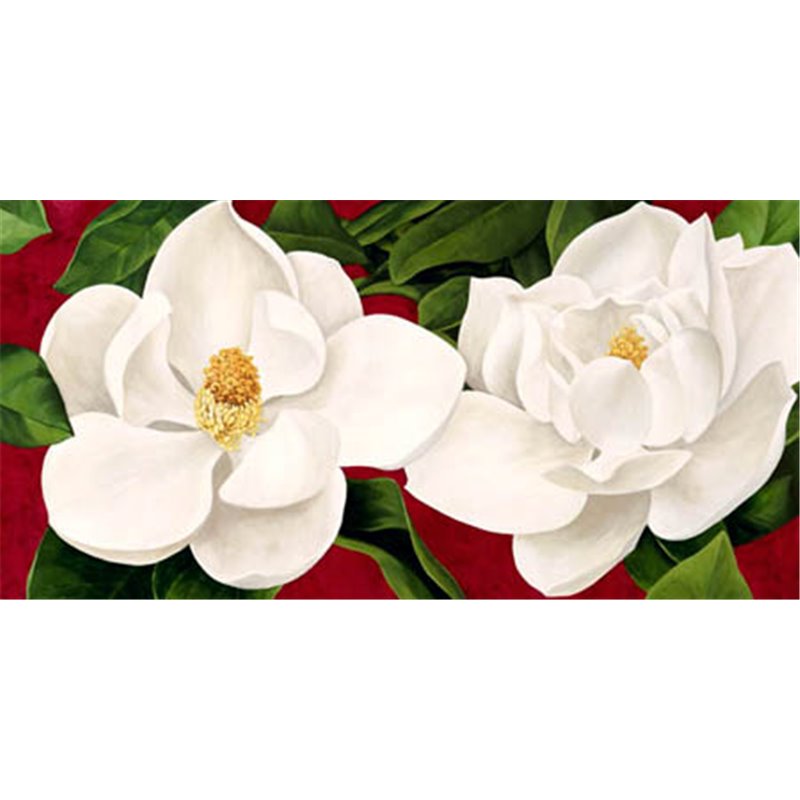 MAGNOLIE IN FIORE