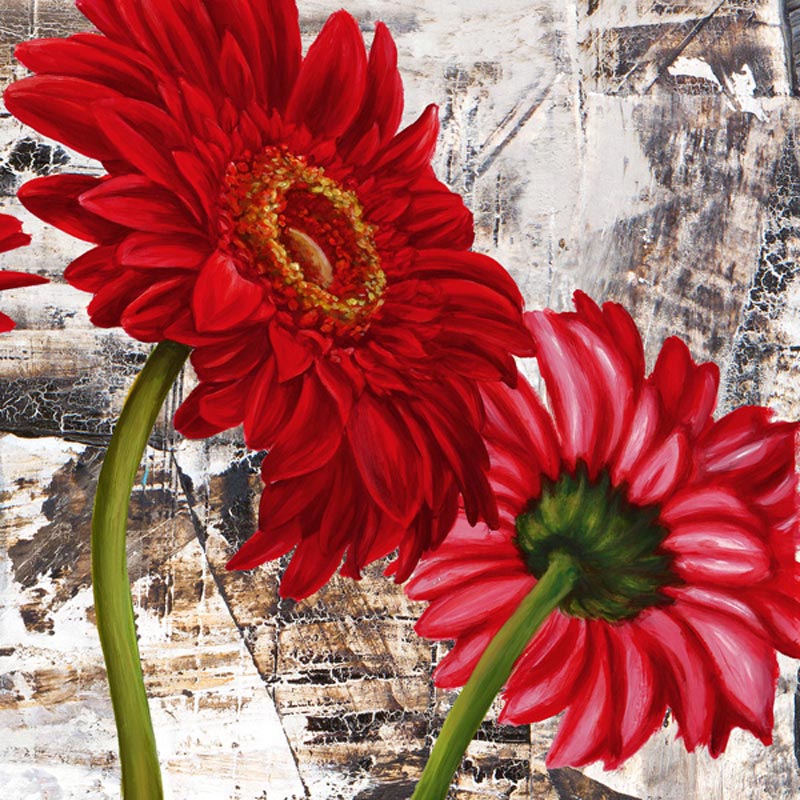 RED GERBERAS III