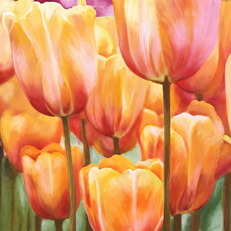 SPRING TULIPS II